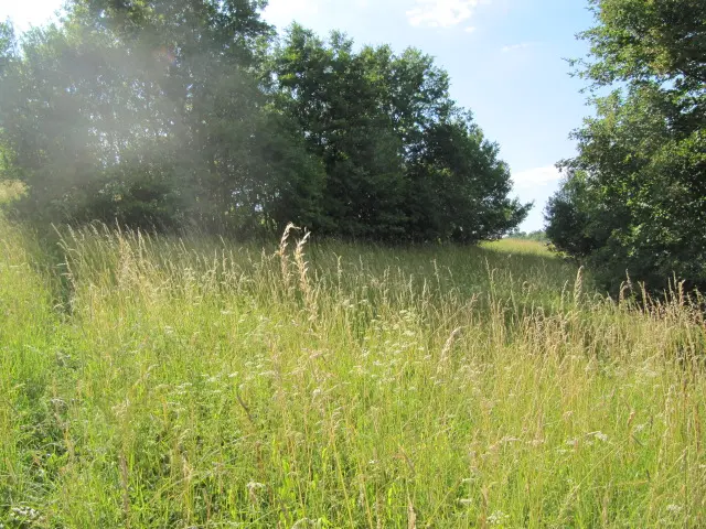 Prodej zemědělských pozemků v Březůvkách