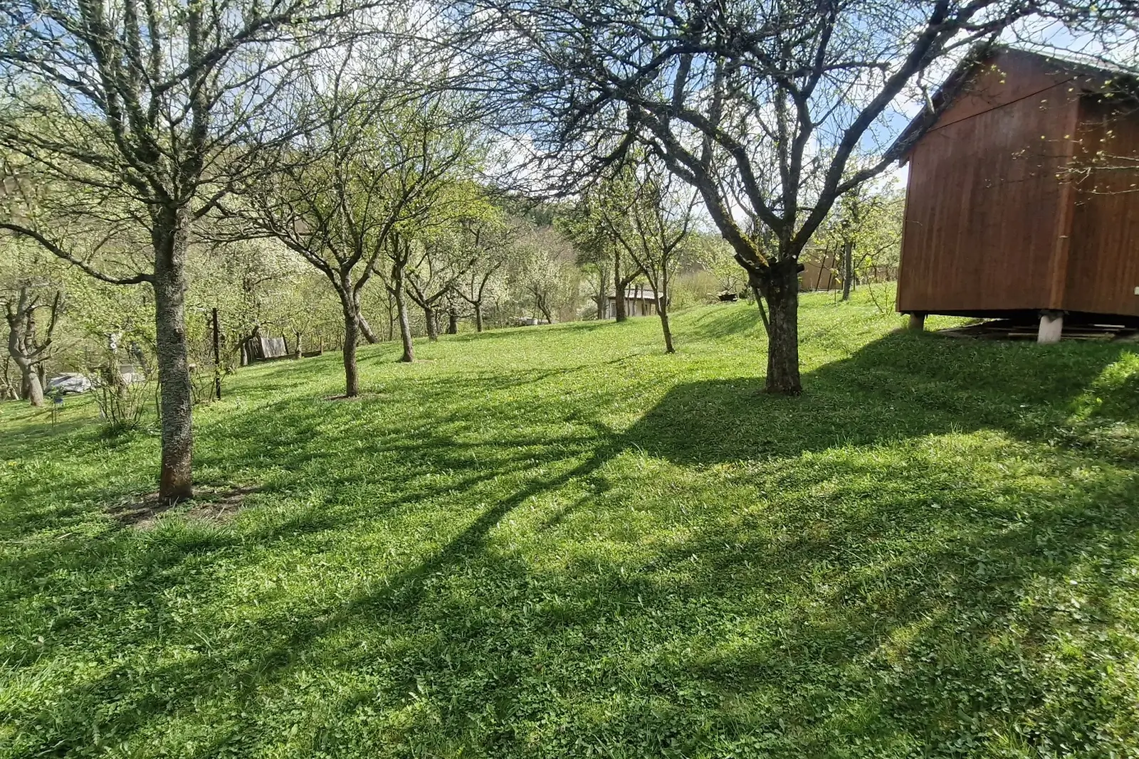 Prodej zahrady s chatkou v Luhačovicích